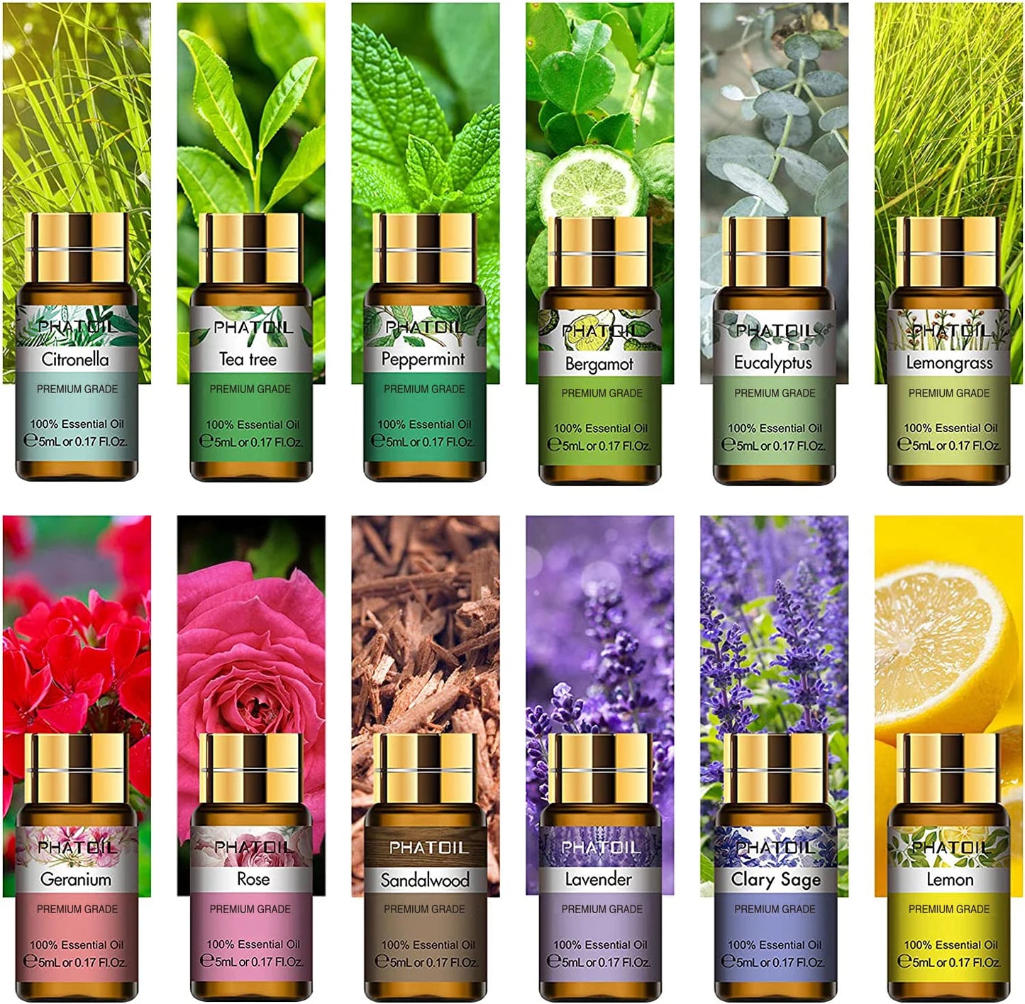 PHATOIL 12pcs Gift Box Pure Essential Oils Set for Diffusers